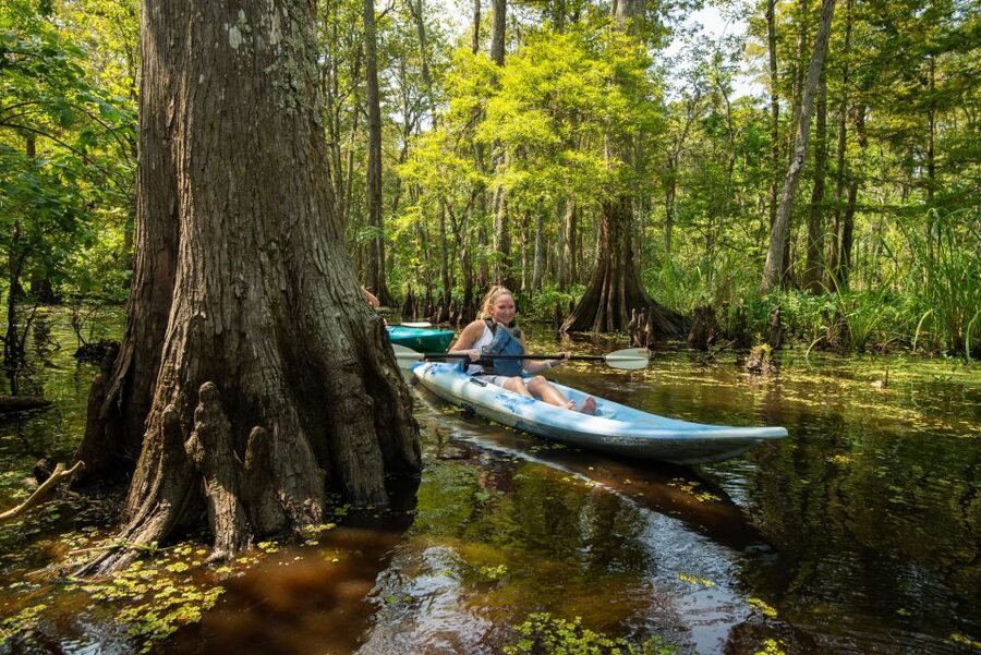 New Orleans: Manchac Magic Kayak Swamp Tour - Practical details to get right