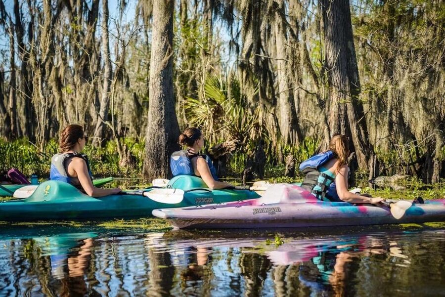 New Orleans: Manchac Magic Kayak Swamp Tour - Is $90 a fair price?
