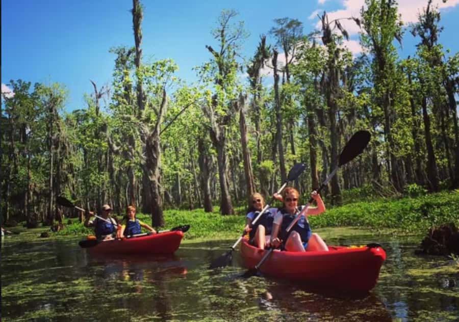 New Orleans: Manchac Swamp Wildlife Kayaking Tour - Getting from New Orleans to the launch point