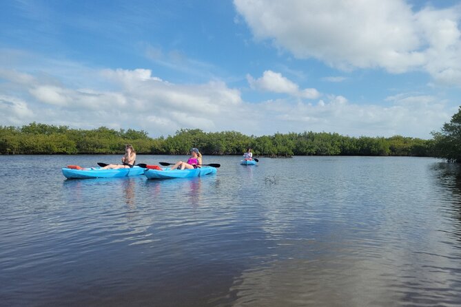 New Smyrna Dolphin and Manatee Kayak and SUP Adventure Tour - Following the guide through the waterways