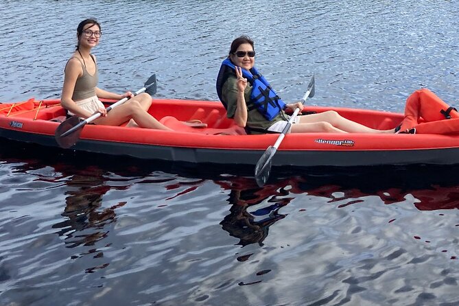 New Smyrna Dolphin and Manatee Kayak and SUP Adventure Tour - The guide can make or break the morning