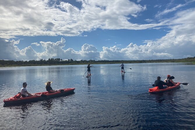New Smyrna Dolphin and Manatee Kayak and SUP Adventure Tour - Kayak or paddleboard?