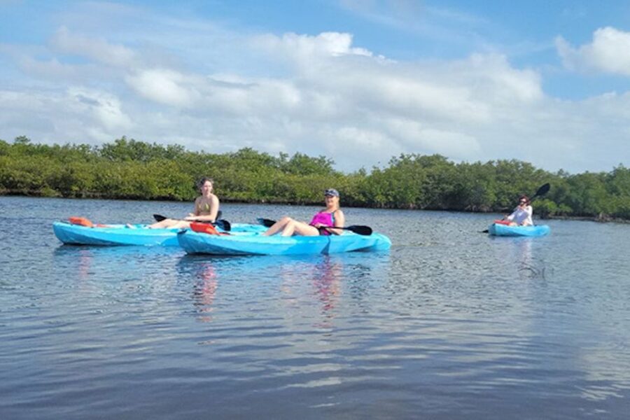 New Smyrna: Half-Day Guided SUP or Kayak Waterways Tour - Starting at Divito Park