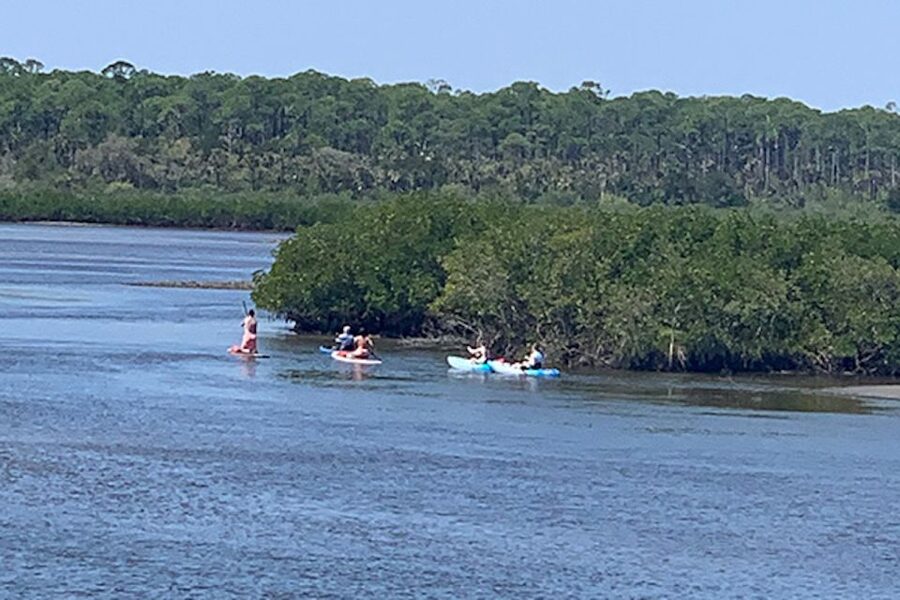 New Smyrna: Half-Day Guided SUP or Kayak Waterways Tour - Wildlife watching without false promises