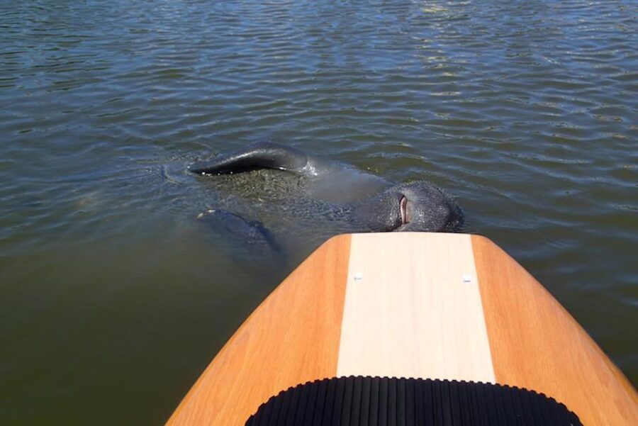 New Smyrna: Half-Day Guided SUP or Kayak Waterways Tour - Is two hours enough for the $65 price?