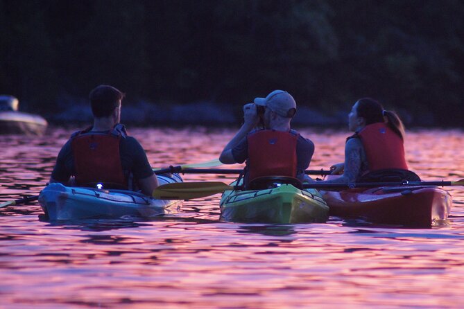 Nickajack Bat Cave Kayak Tour with Chattanooga Guided Adventures - The sunset paddle back