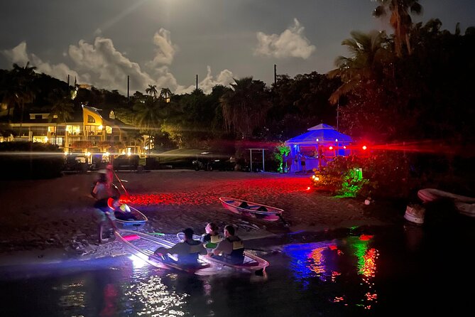 Night Kayak Tour St. John - Westin Resort - Tarpon, ballyhoo, stingrays, and the occasional bat
