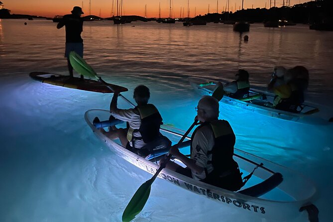 Night Kayak Tour St. John - Westin Resort - Who will enjoy this most