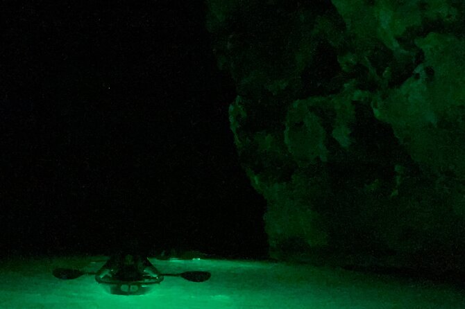 Night Kayaking with Liquid Glow - What the guides add to the night