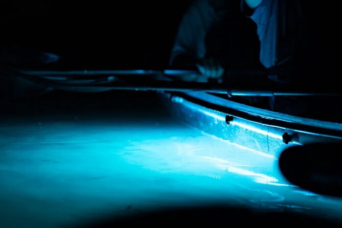 Night Mangrove Kayak Tour - Key details before you book