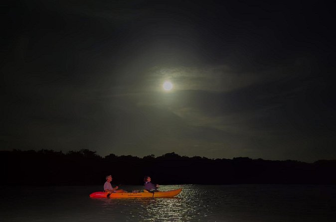 Night Mangrove Kayak Tour - What is included for your comfort