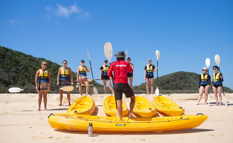 Noosa: Epic Ocean Kayak with Dolphins & 4WD Beach Adventure - Key points at a glance