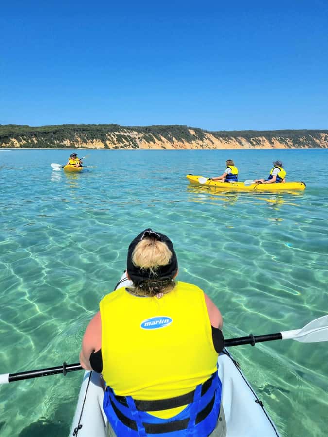 Noosa: Epic Ocean Kayak with Dolphins & 4WD Beach Adventure - Why this Noosa tour is more than a dolphin trip