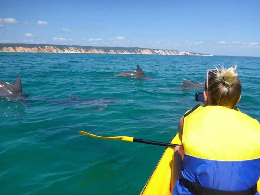 Noosa: Epic Ocean Kayak with Dolphins & 4WD Beach Adventure - The 4WD ride across Noosa North Shore