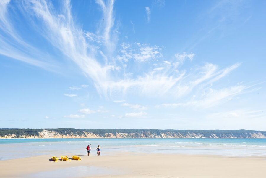 Noosa: Epic Ocean Kayak with Dolphins & 4WD Beach Adventure - What the guides add to the day