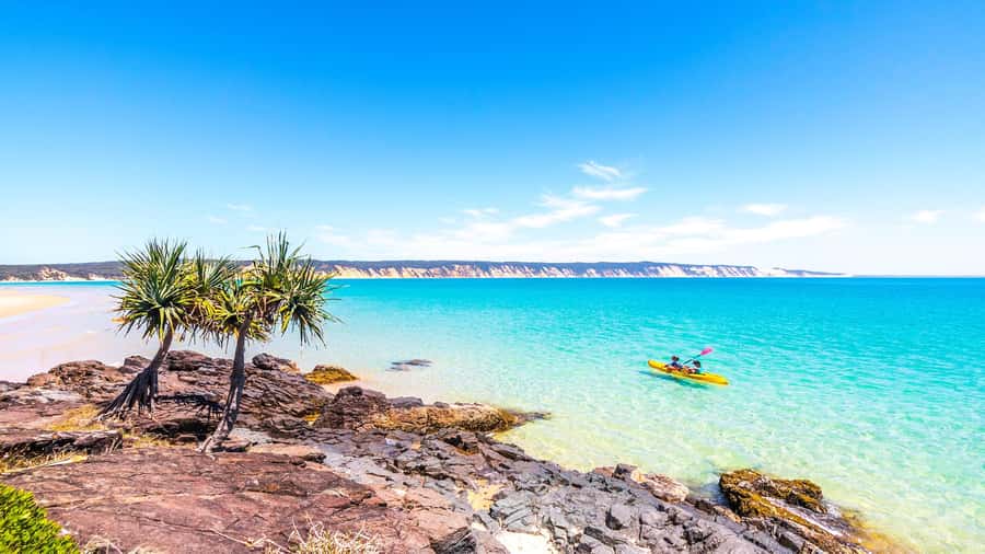 Noosa: Epic Ocean Kayak with Dolphins & 4WD Beach Adventure - Food, clothing, and practical preparation
