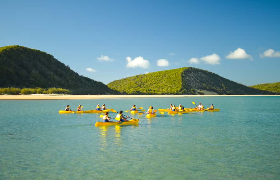 Noosa: Epic Ocean Kayak with Dolphins & 4WD Beach Adventure - Is the $118 price fair?