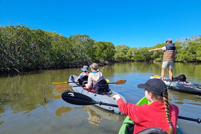 Noosa Everglade Kayak -South/Noosa End - Searching for Stingrays! - Key points at a glance