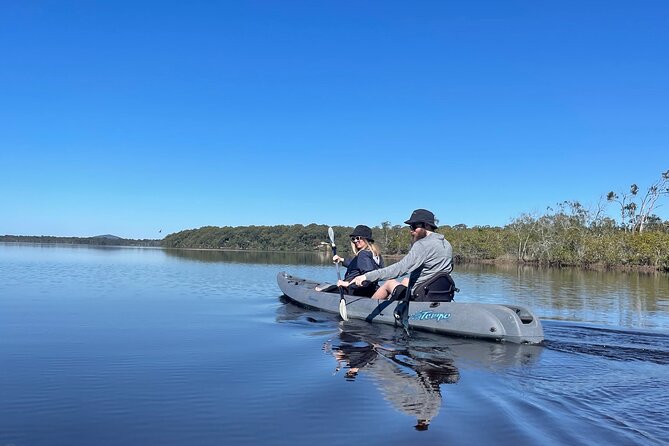 Noosa Everglade Kayak -South/Noosa End - Searching for Stingrays! - Why the stingrays are the star of Lake Weyba