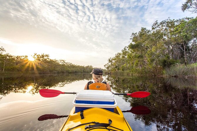Noosa Everglade Kayak -South/Noosa End - Searching for Stingrays! - Finding the creeks and mangroves