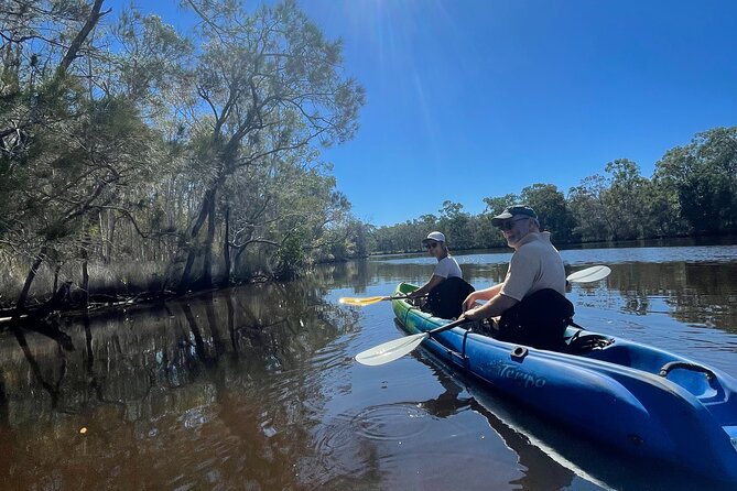 Noosa Everglade Kayak -South/Noosa End - Searching for Stingrays! - Price and what you receive for $56.66