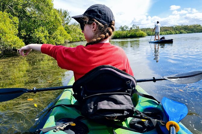 Noosa Everglade Kayak -South/Noosa End - Searching for Stingrays! - Starting at 187 Lake Weyba Drive