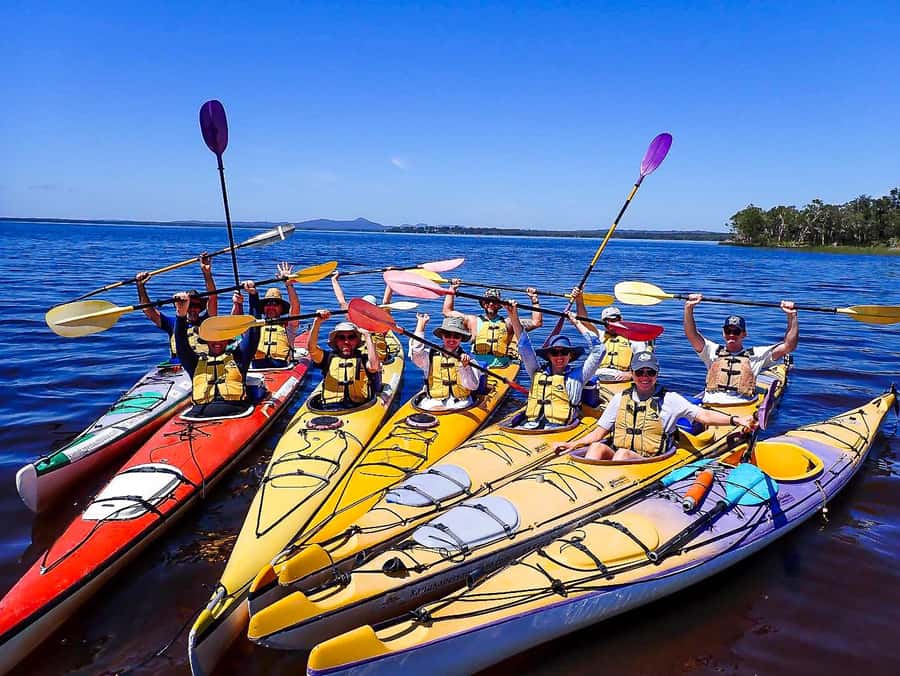 Noosa Everglades: Truly Sustainable Guided KAYAK Tour - Why the Noosa Everglades work so well by kayak