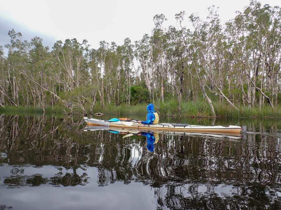 Noosa Everglades: Truly Sustainable Self Guided KAYAK Tour - Why the Noosa Everglades suit a kayak