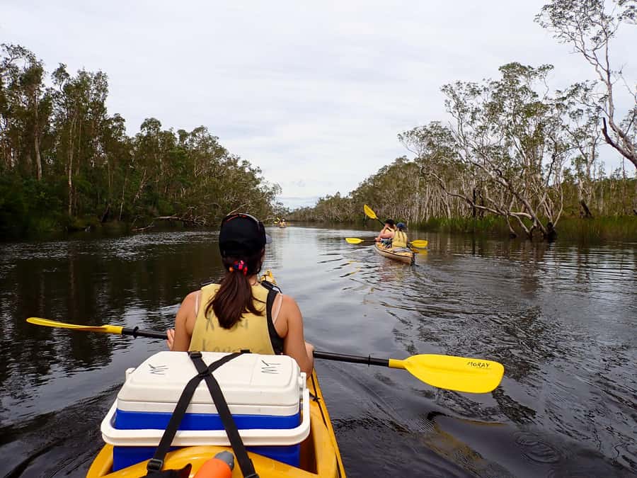 Noosa Everglades: Truly Sustainable Self Guided KAYAK Tour - What the sustainability promise means here