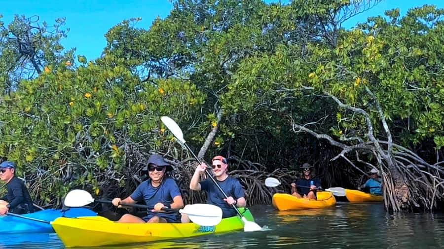 Noosa Heads: Hidden Waterways Wildlife Kayak (Fully Guided) - A clear briefing before you launch