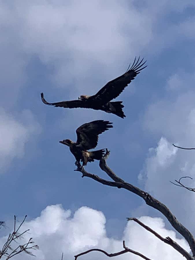 Noosa Heads: Hidden Waterways Wildlife Kayak (Fully Guided) - Who will enjoy this most