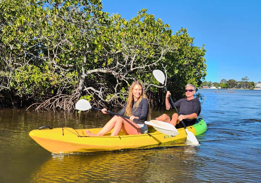 Noosa Heads: Hidden Waterways Wildlife Kayak (Self-Guided) - Watching stingrays in shallow water