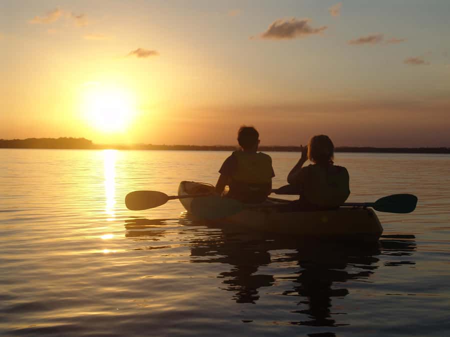 Noosa Heads: Hidden Waterways Wildlife Kayak (Self-Guided) - Should you book the Weyba waterways kayak?
