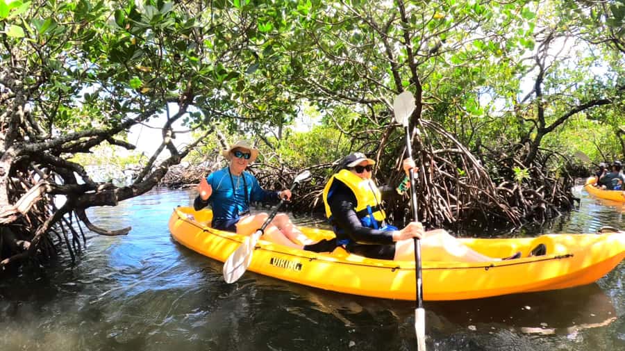 Noosa Heads: Hidden Waterways Wildlife Kayak (Self-Guided) - A gentle introduction to sit-on-top kayaking