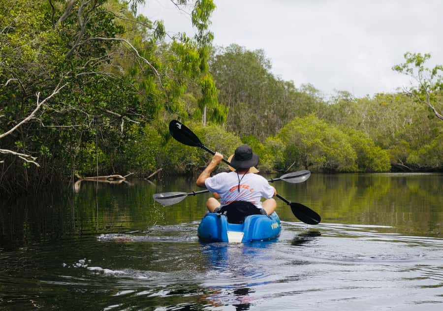 Noosa: Noosa Everglades and Stingray Sanctuary Kayak Tour - Key points at a glance