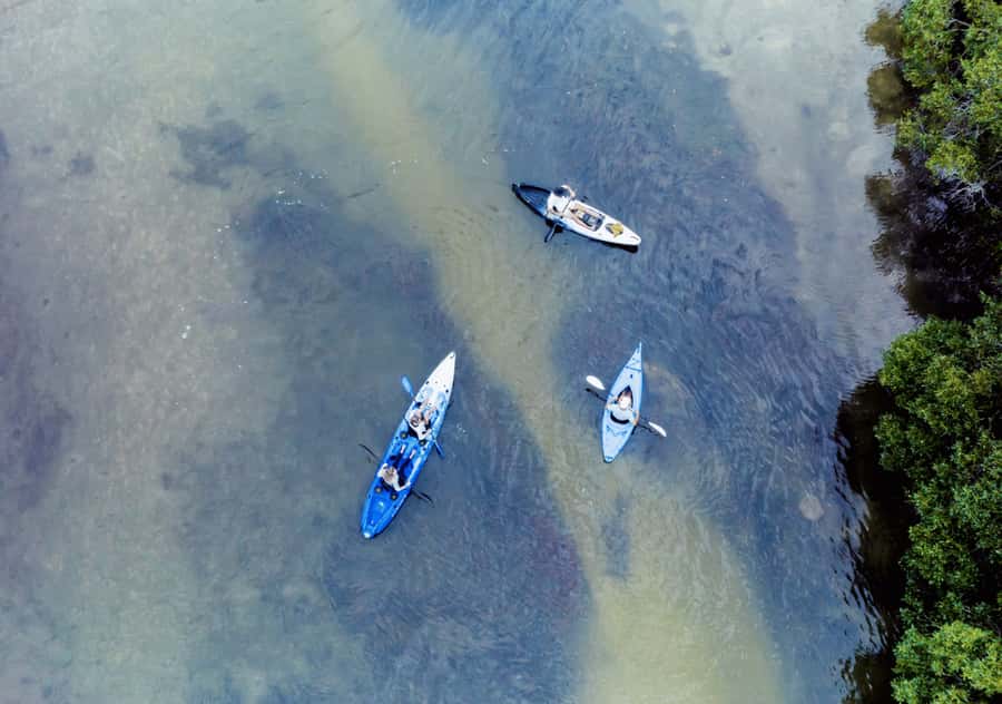 Noosa: Noosa Everglades and Stingray Sanctuary Kayak Tour - Starting beside Lake Weyba, close to Noosa
