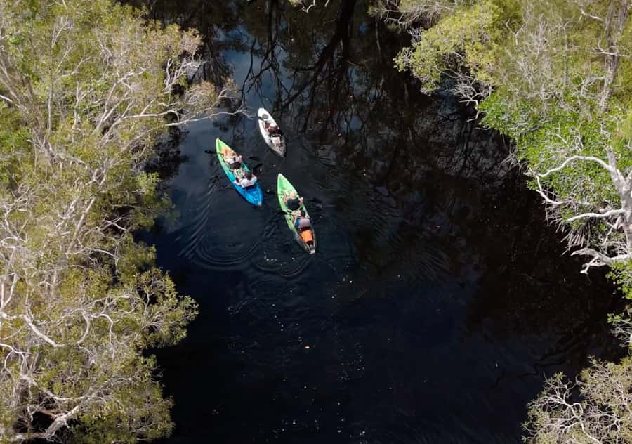 Noosa: Noosa Everglades and Stingray Sanctuary Kayak Tour - The stingray sanctuary and its shallow-water wildlife
