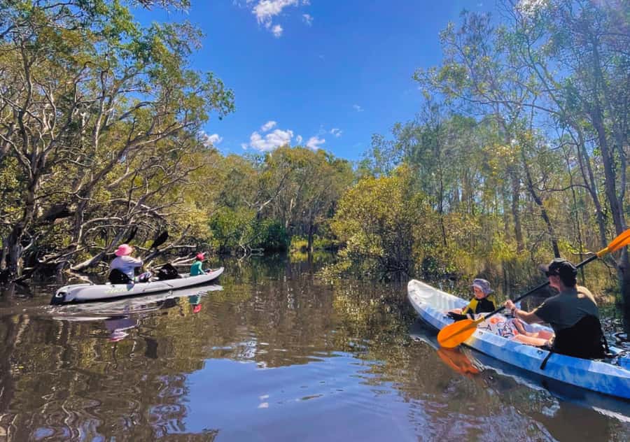 Noosa: Noosa Everglades and Stingray Sanctuary Kayak Tour - A swim in Lake Weyba