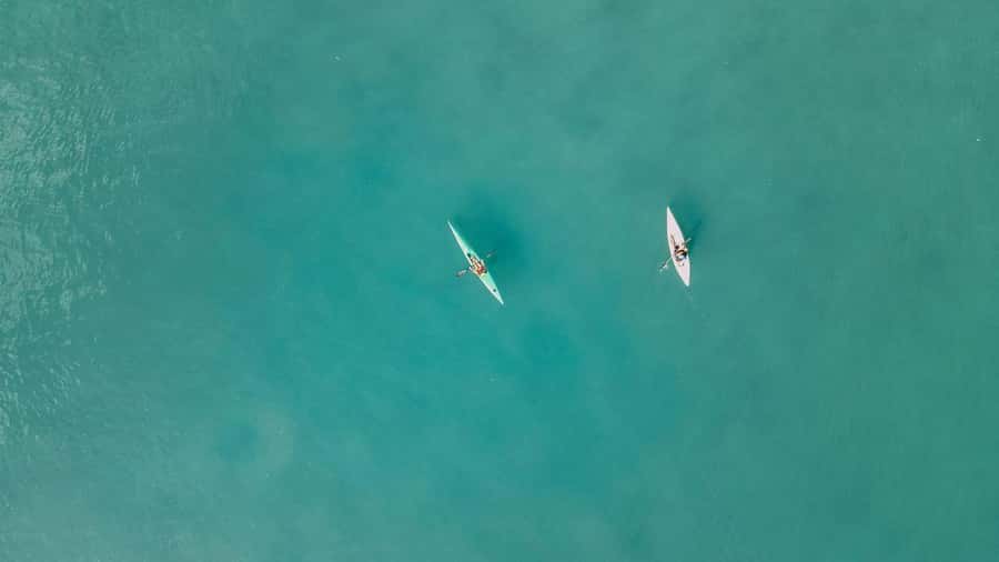 Noosa River: Mangroves and Mansions Guided Kayak Tour - Key points at a glance