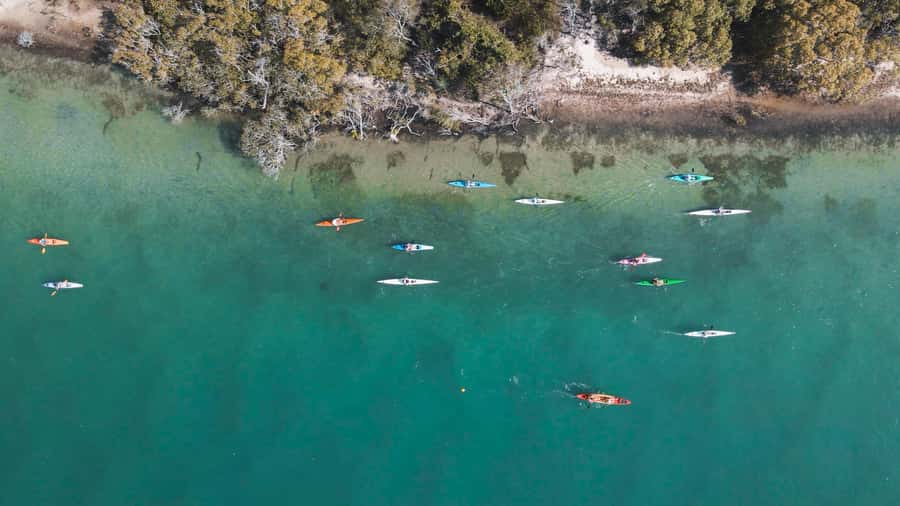 Noosa River: Mangroves and Mansions Guided Kayak Tour - Why this Noosa kayak tour feels different