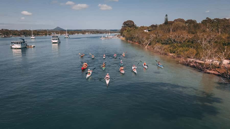 Noosa River: Mangroves and Mansions Guided Kayak Tour - Around Noosa Sound and its waterfront homes