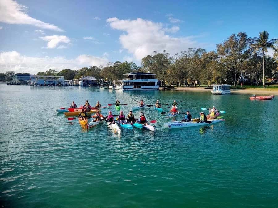 Noosa River: Mangroves and Mansions Guided Kayak Tour - Who should book this experience