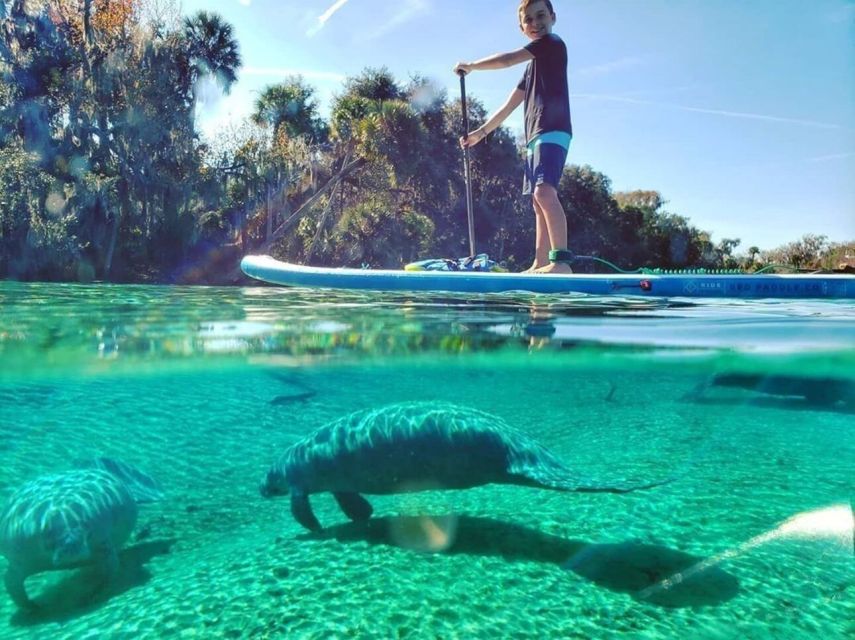 North Miami: Nature & Island Exploration on SUP/Kayak - Four hours in Miami’s mangrove country