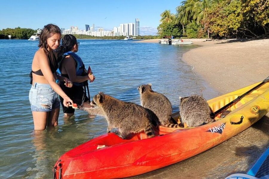 North Miami: Nature & Island Exploration on SUP/Kayak - Swimming, snorkeling, fruit, and cold drinks