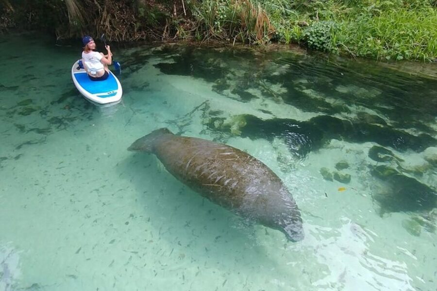 North Miami: Nature & Island Exploration on SUP/Kayak - Practical details before you book