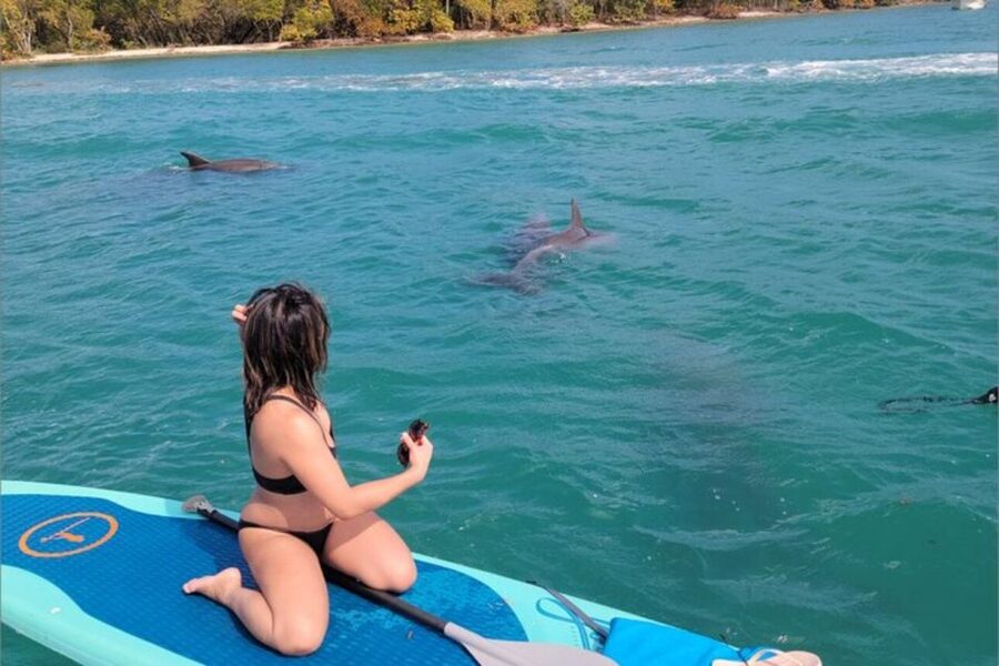 North Miami: Nature & Island Exploration on SUP/Kayak - Choosing a kayak or stand-up paddleboard