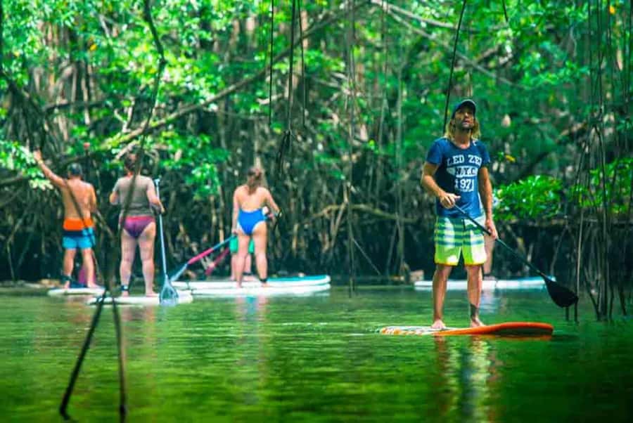 Nusa Penida: Snorkel 3 Spots w/ GoPro & Mangrove Paddle Tour - Why the GoPro matters, and what it does not fix
