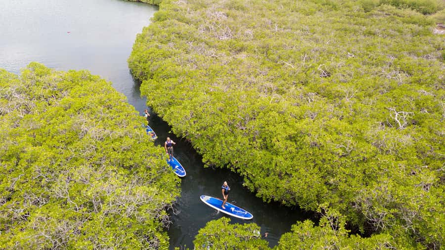 Nusa Penida: Snorkel 3 Spots w/ GoPro & Mangrove Paddle Tour - Should you book this Nusa Penida trip?