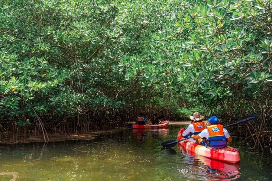 Nusa Penida: Snorkeling 3 Spots with GoPro & Kayak Mangroves - Should You Book This Nusa Penida Combination?