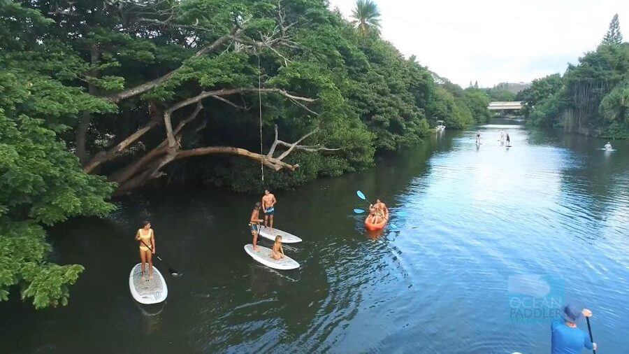 Oahu: North Shore Haleiwa Paddleboard River Adventure - Timing, cancellation, and what to bring
